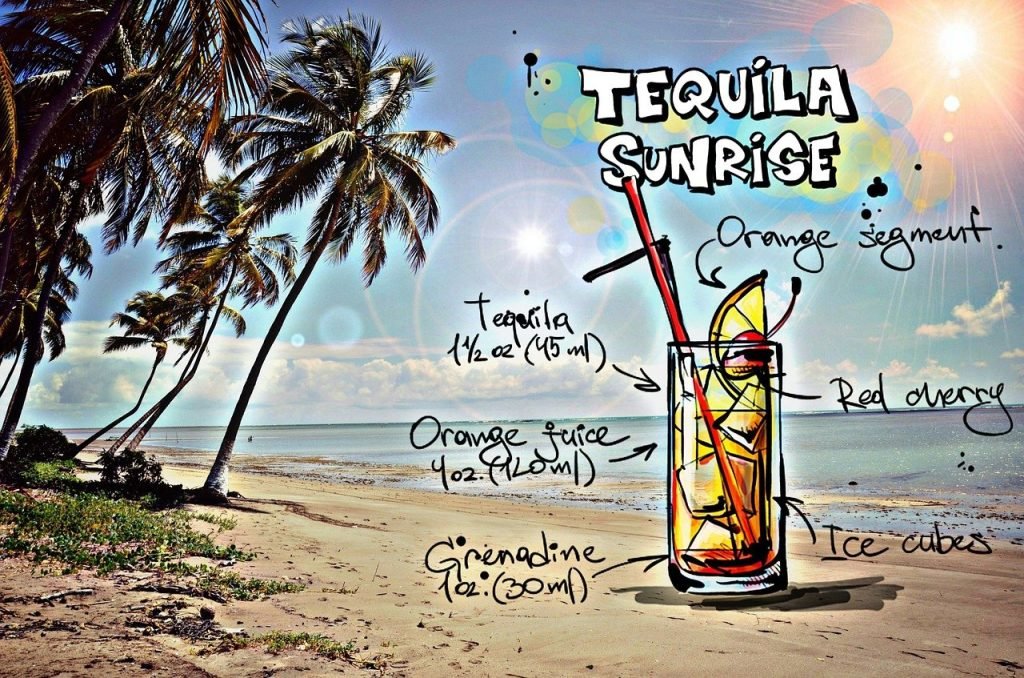 Best Tequila Brands to Try in Mexico