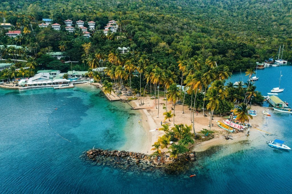 an island with palm trees and a body of water